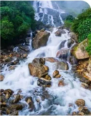 哀牢山，远不止是云遮雾罩的“云南虫谷”2