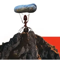 科学达人挑战区