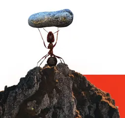科学达人挑战区