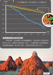 昆虫也有“高科技”