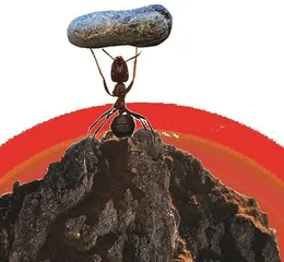 科学达人挑战区0
