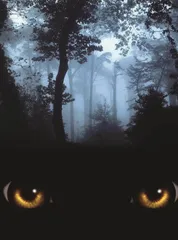 正在变成“夜猫子”的动物们