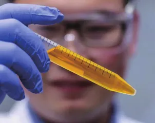 柠檬黄真的能让生物“隐形”吗