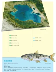 陆心之海——青海湖