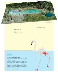 中条彩池——运城盐湖1