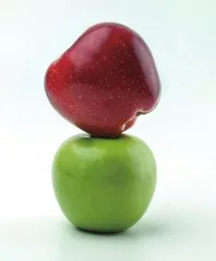为传宗接代,植物对动物使尽洪荒之力1