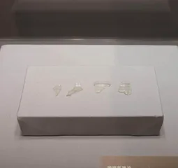 探寻南京大学校园里的“帝陵迷踪”5