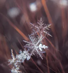雪花为什么有很多种形状等