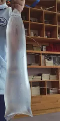 找个防水塑料套，做做科学小实验6