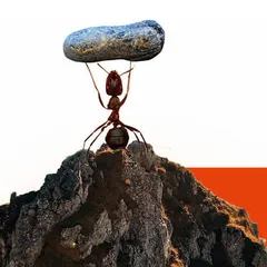 科学达人挑战区
