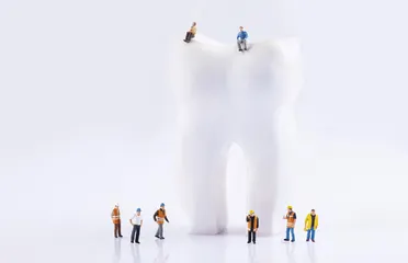 人类的口腔里藏着一部进化史