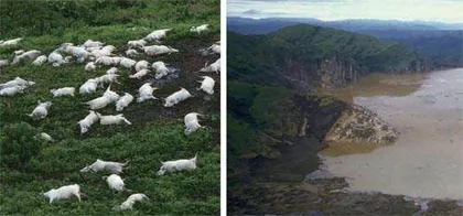 气炸了的“杀人湖”