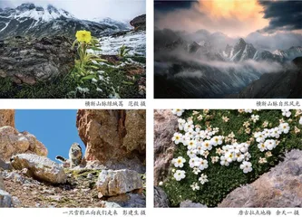 长江，我们的母亲河