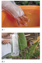 做液体压强实验，学趣味物理知识