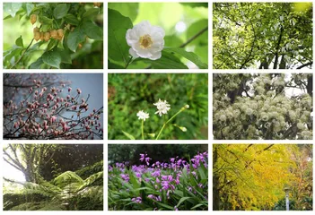 盘点南京中山植物园里的“宝藏”