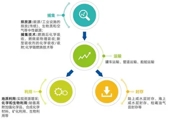 负碳成风口:万亿美元市场,中国初创公司仅11家1