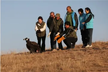 不改初心,康保护飞见真情4