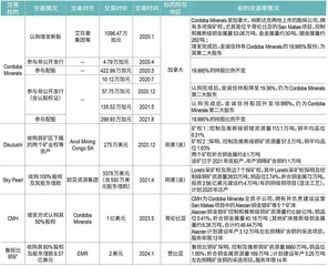 2美元买矿，金诚信跨境并购有何玄机？3