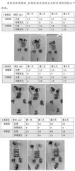 “双减”背景下初中生物探究类实践作业的实施