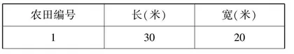“双减”背景下农村初中数学教学质量提升策略研究
