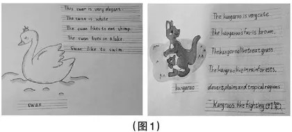 核心素养视域下小学高年级英语单元作业设计0