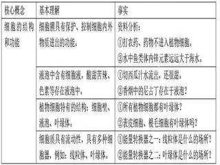 初中生物共学课堂中核心概念的建构