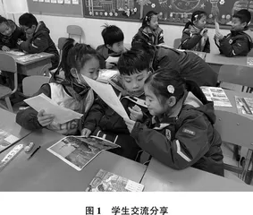 一草一木，美在家乡
