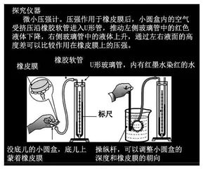浅析中学物理教学中如何通过实验体现物理课程的实践性