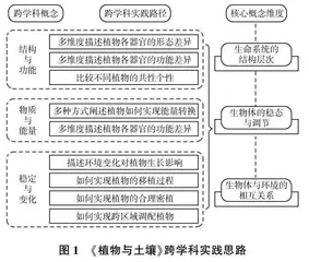 基于理解视域的大概念促进深度学习计策探究