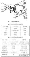 新课标下高中生物学概念教学对策探讨