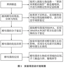 研究型实验在高中生物教学中的实践效果及完善