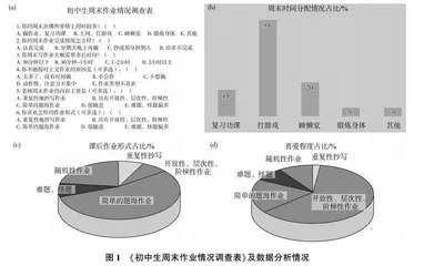 多维导向·高效提升