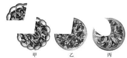 基于“HPS教学理念”体现科学本质的科学教学策略探究