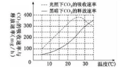 有关净光合速率深层次含义的解析与研究