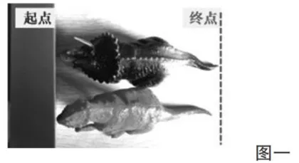 创新学具，有效提高课堂教学效率