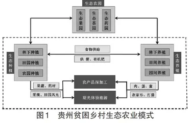 贵州省贫困乡村生态农业发展模式探究