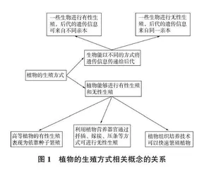 基于STS教学模式的初中生物学概念教学