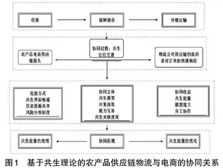 农产品供应链物流与电商的协同研究