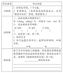 立足核心素养，优化作业设计