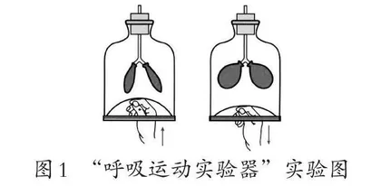基于生活化的初中生物实验创新模型建构
