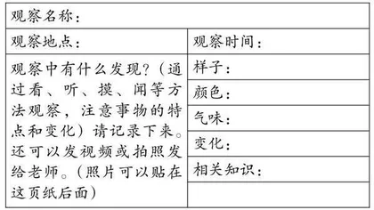 统编版小学语文三年级习作单元教学策略初探