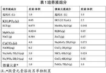 自来水厂砂滤池附着物对氨氮污染物的降解分析