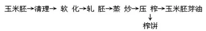 玉米胚芽油的发展和制取工艺