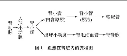 指向素养提升的中考复习课堂，实现减负提质