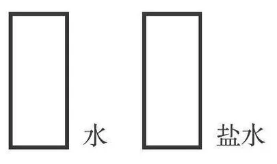 “双减”政策下初中物理作业优化设计实践
