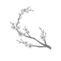 （四）悦纳生成　花开有期