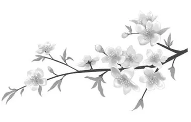 推进五育并举　促进学生全面发展