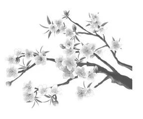 “以画促思”在小学语文低年段拓展与实践中的探究与运用