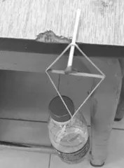培养科学思维 推进农村物理教学