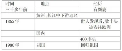初探不同文体教学的方法
